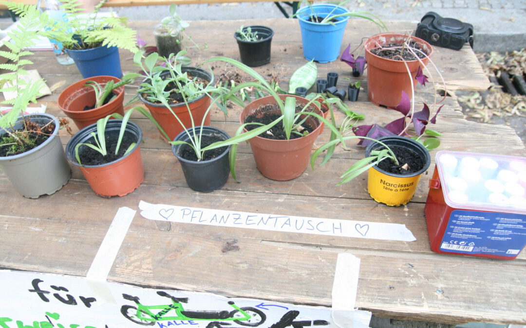 Pflanzentausch-Börse bei “Wir im Kiez”