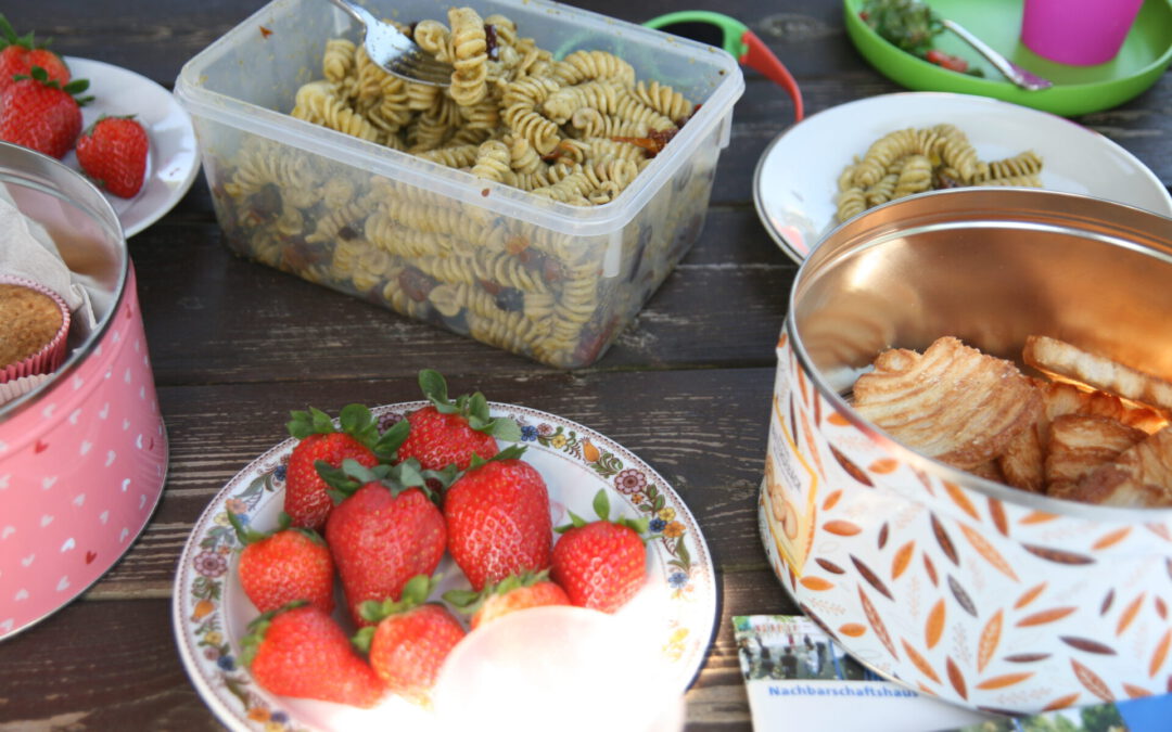 Plausch & Picknick auf der Dolgenseepromenade