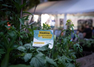 Kino-Aktion vom TdgL im Himmelbeet