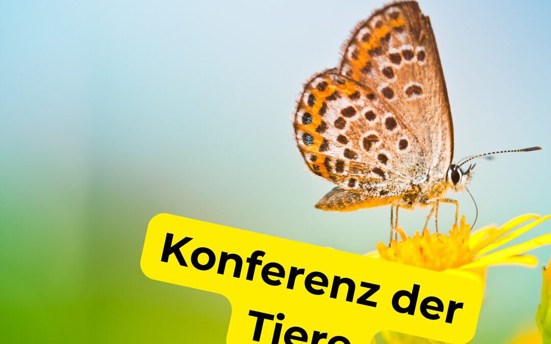 Konferenz der Tiere in Tempelhof